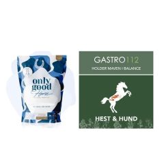 Only Good Horse + Gastro112 - Gastro112