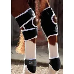 Premier Equine - Hasbandage med magneter - one size - en til H has og en til V has. - 