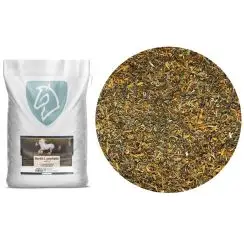 Nordic Horse  Nordic Lynphatic - Lymfesystem, h&aelig;vede ben... - 