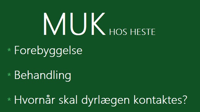 Min hest har muk, hvad gør jeg ved det